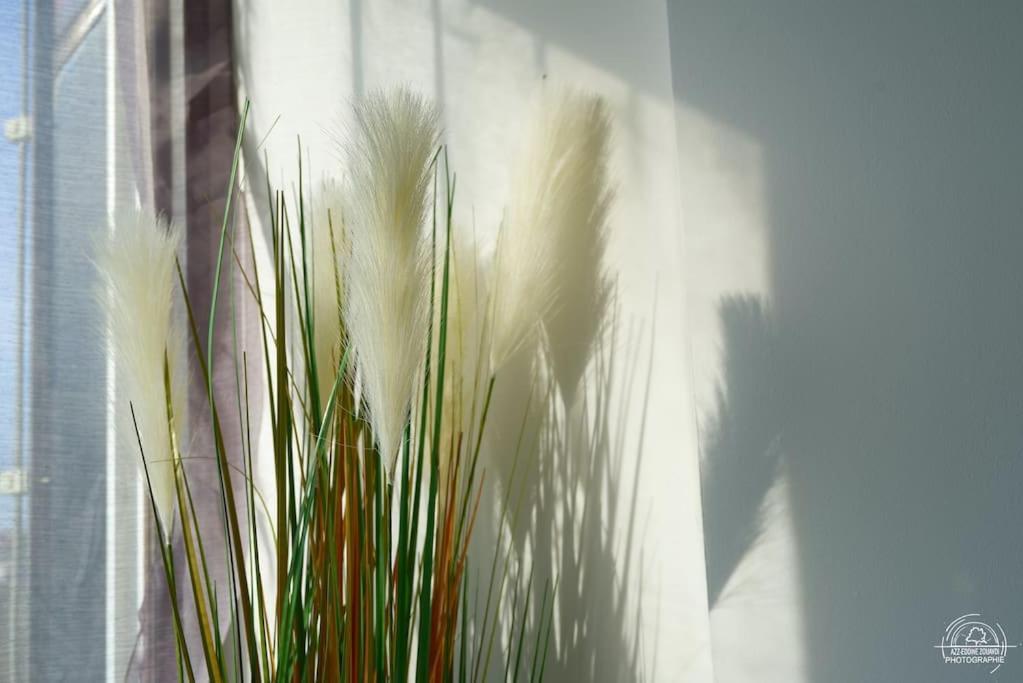 Suite Le Cocoon & Spa By Nancyintimelounge Exteriér fotografie